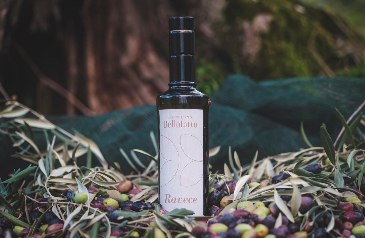 Agriturismo Bellofatto Torella dei Lombardi Ngoại thất bức ảnh